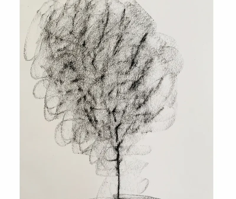 Baum Zart Kohle